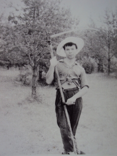 Годавлачащий