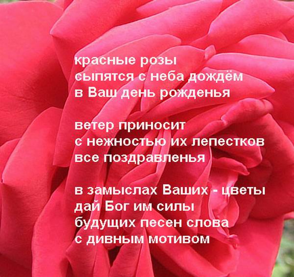 Поздравление Про Розы