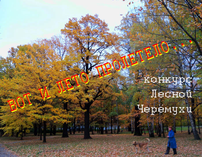 http://stihi.ru/pics/2011/11/26/867.jpg