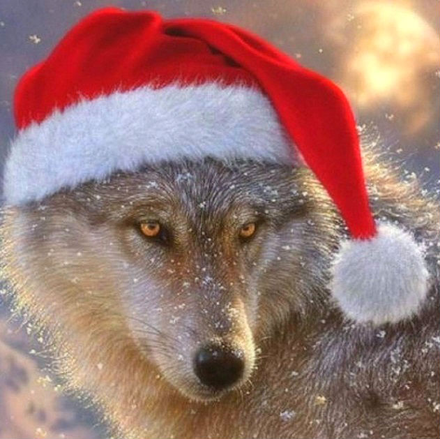 Поздравления С Новым Годом От Волка