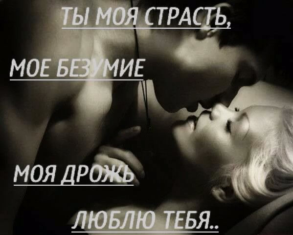 Я Тебя Люблю Секс Gif