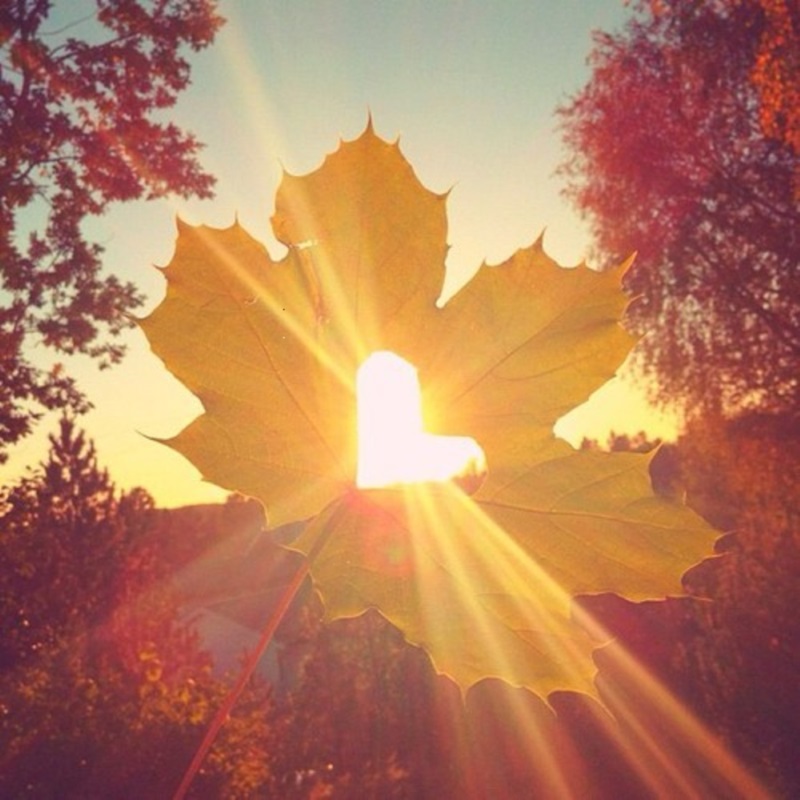 Доброе Утро Осень Солнышко Картинки
