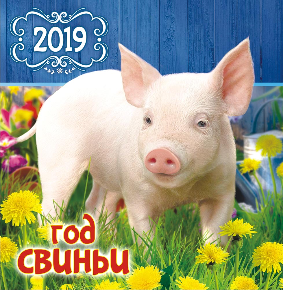 Скачать Поздравления С Новым Годом 2021 Свиньи