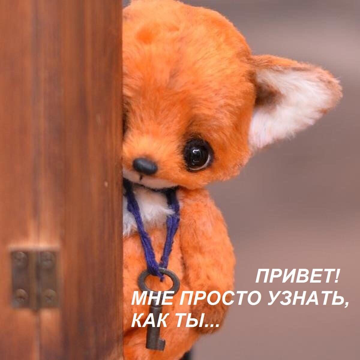 Как дела милая