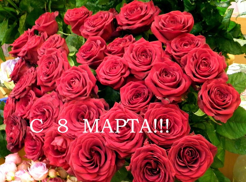 8 Марта Поздравления Цветы