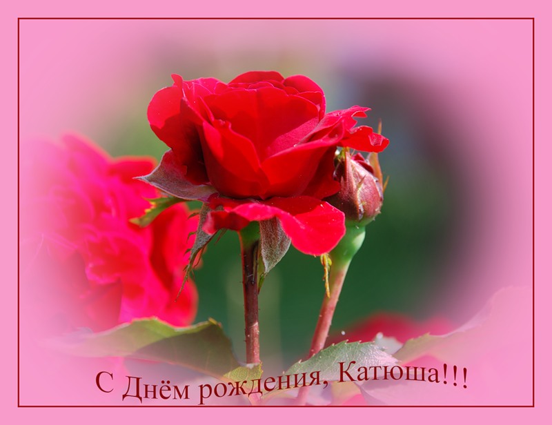 Поздравления С Днем Рождения Катюша Гифки