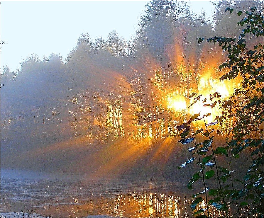Доброе Утро Осень Солнышко Картинки