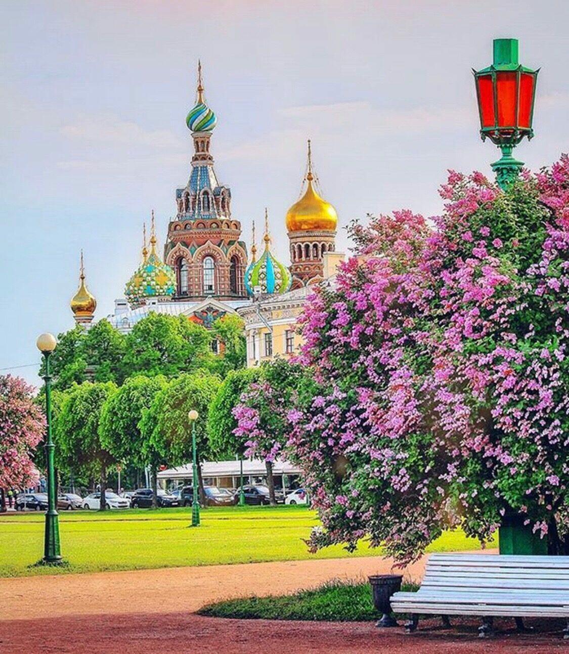 Картинки питер весной