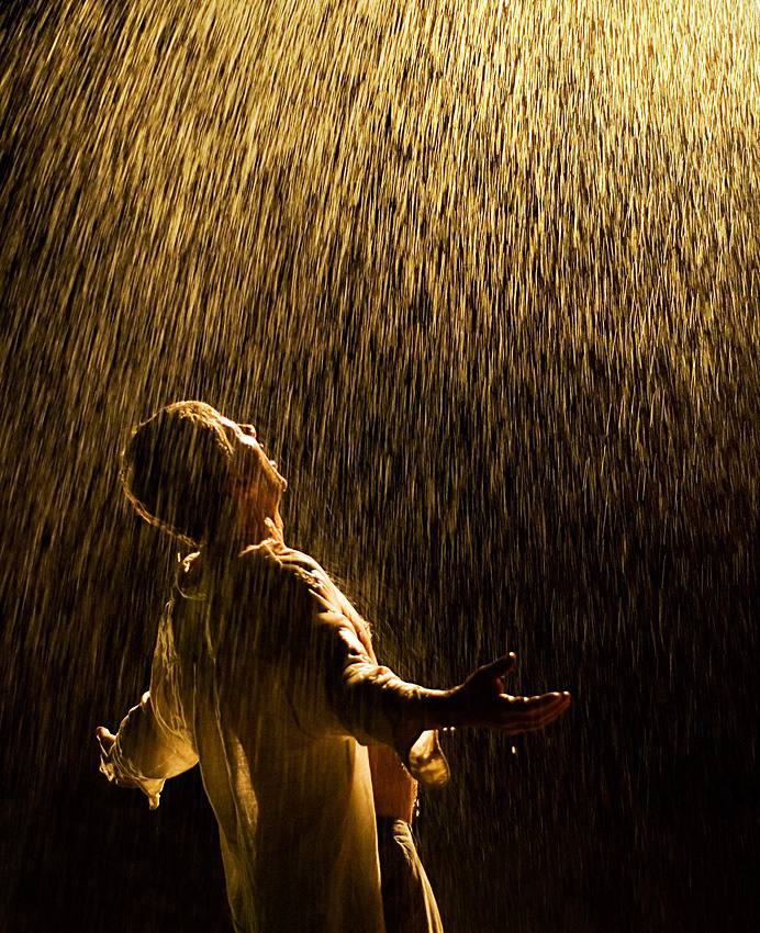 Она подставила лицо обильному золотому дождику и наслаждалась получаемыми ощущениями