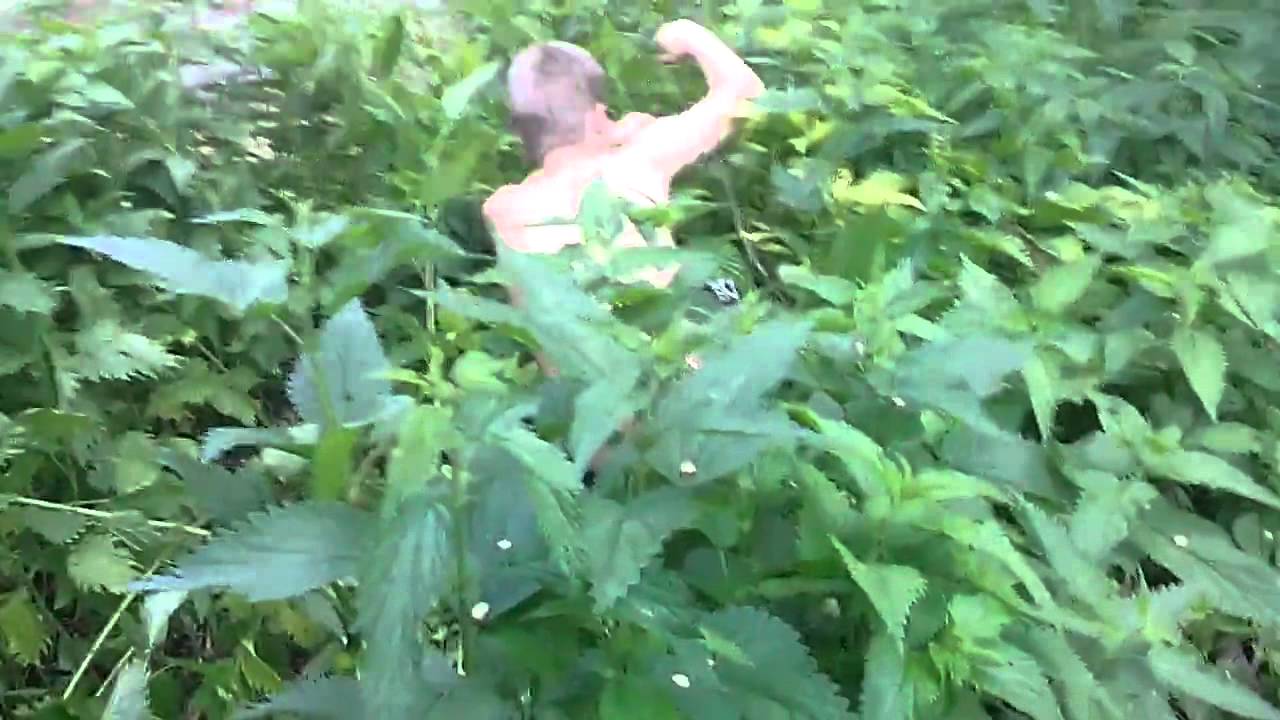 Подсмотренный секс молодой пары в кустах