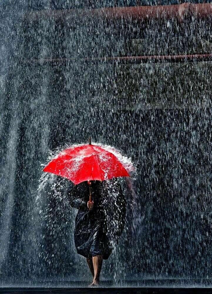 Она спряталась под зонтиком