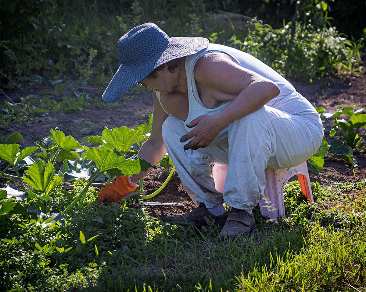 Жена на даче с голым задом садит огород фото