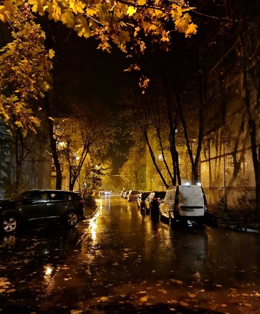 Одинокая красавица мечтает о красивым золотым дождиком с водителем утренней маршрутки