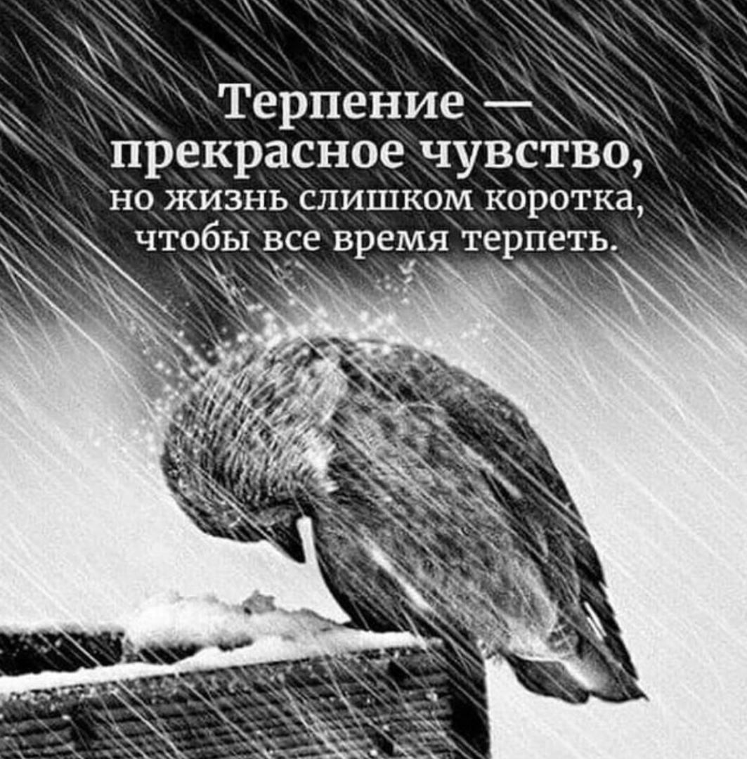 Картинки о терпении