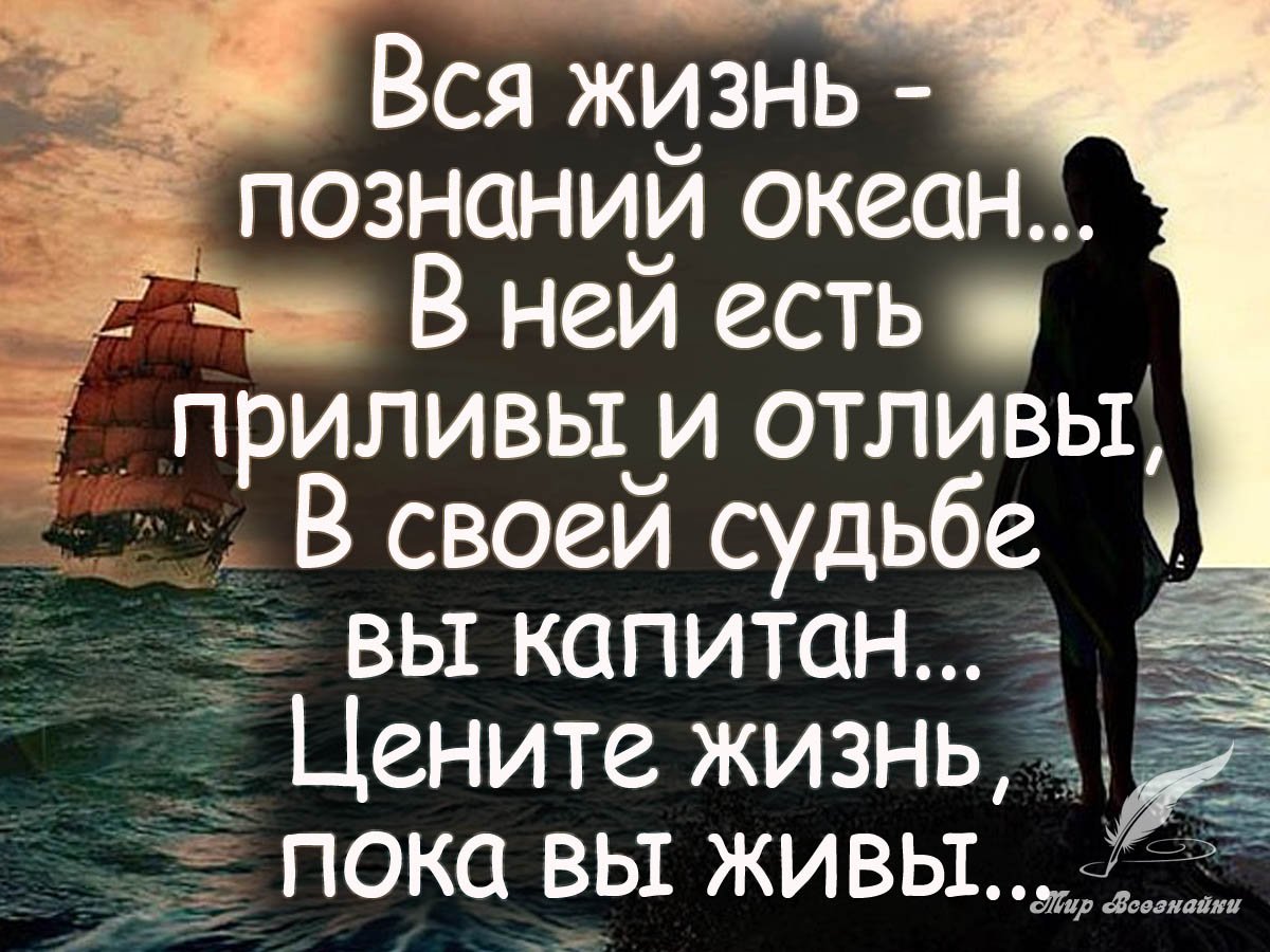Мудрые мысли о жизни короткие
