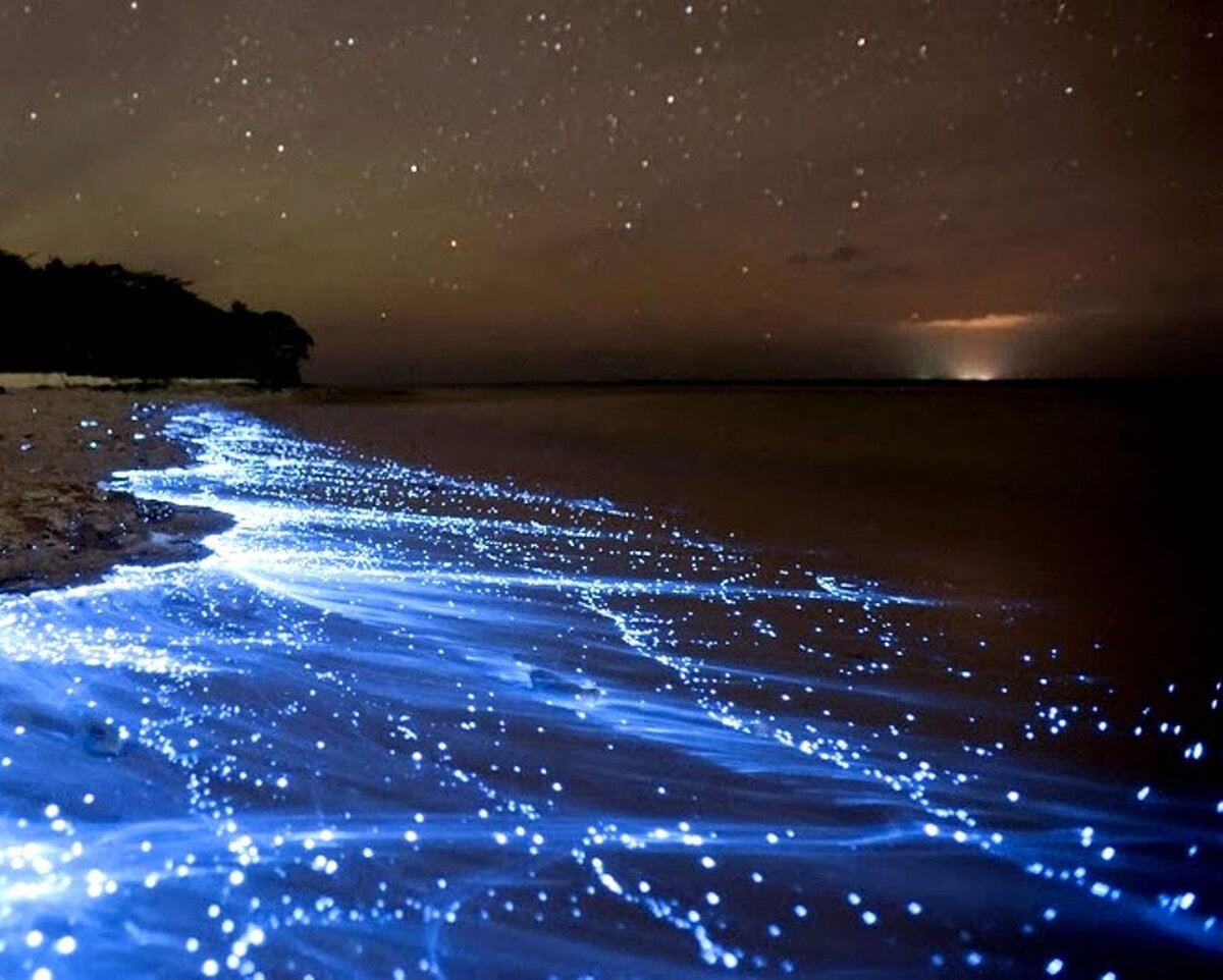 Ночное море