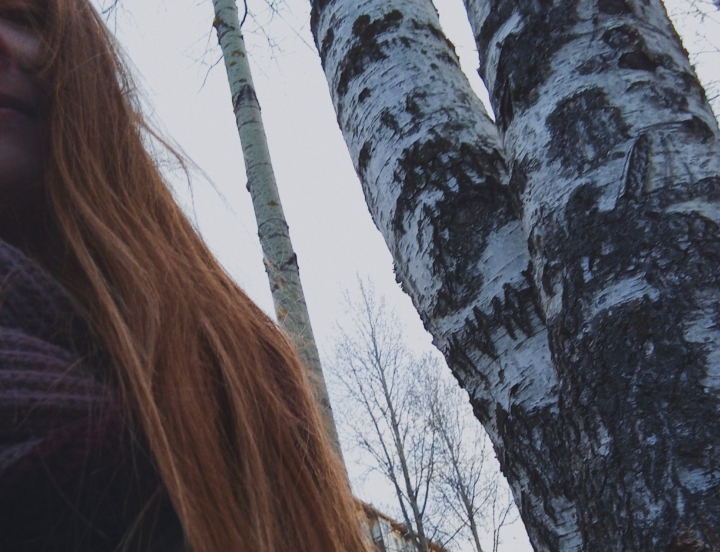 ������� ���������