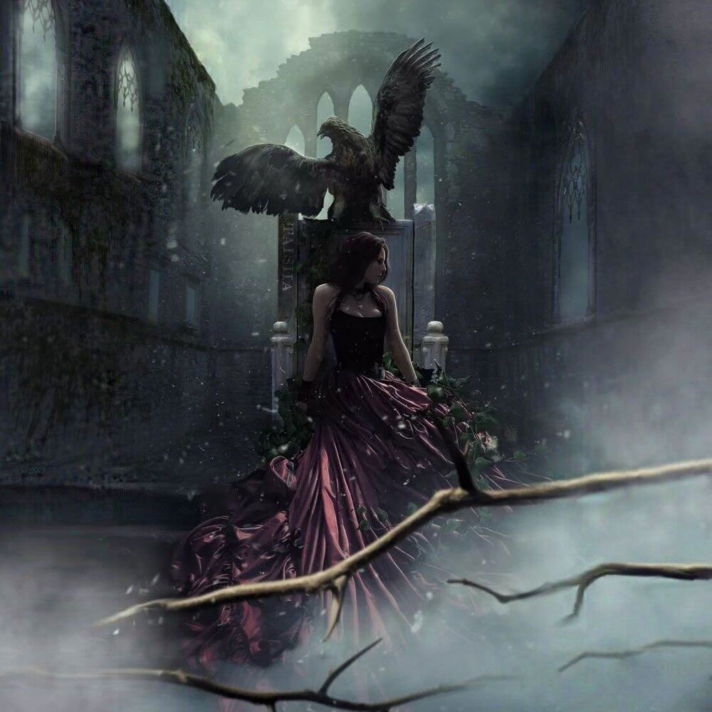 ������ ������������