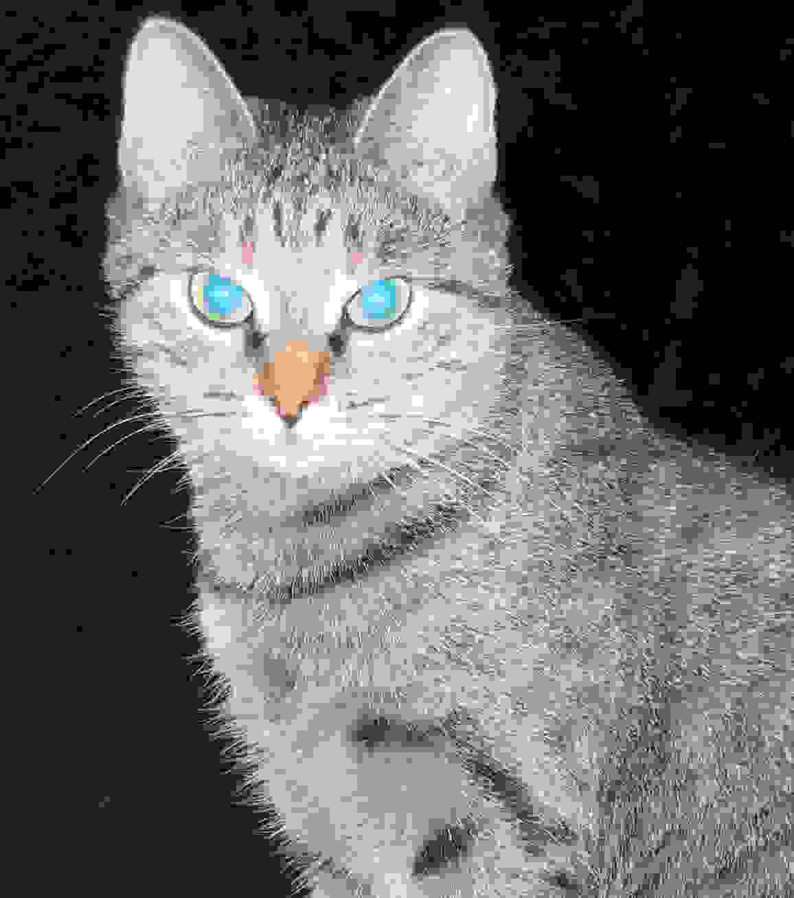 ���� ������-������