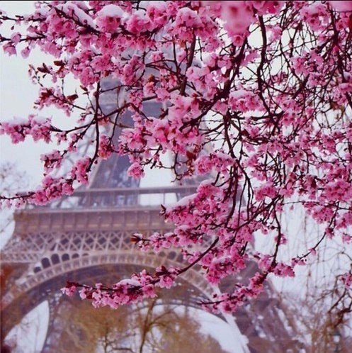 Виктория Сложная