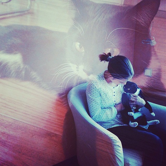 ������� �������