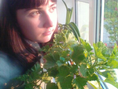 �������� ���������