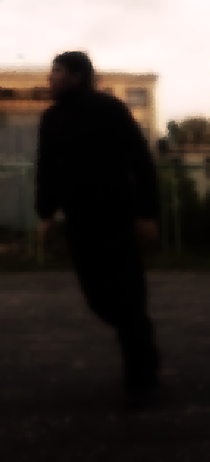 Иван Шестернин