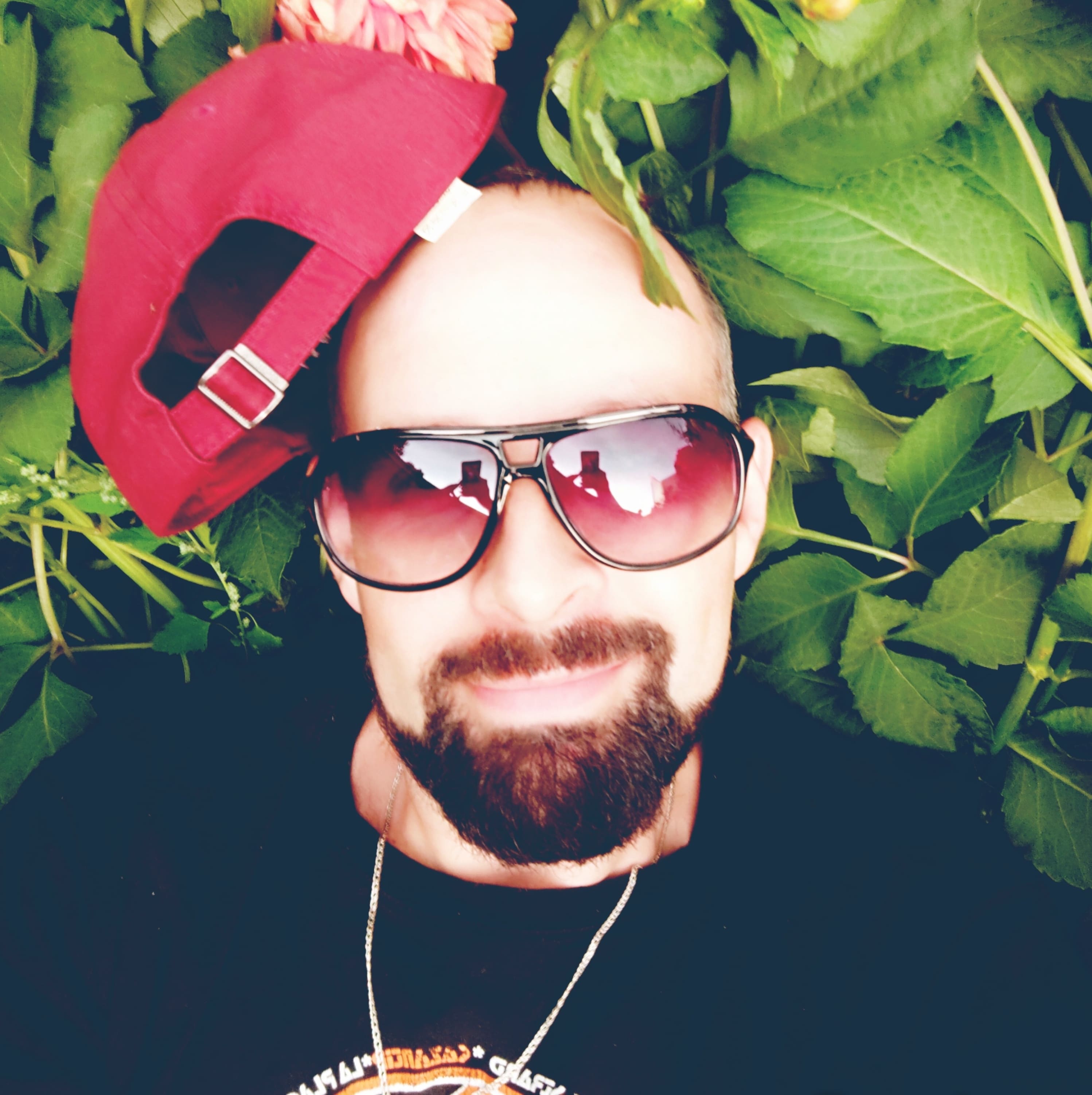 ������� ������ ����������