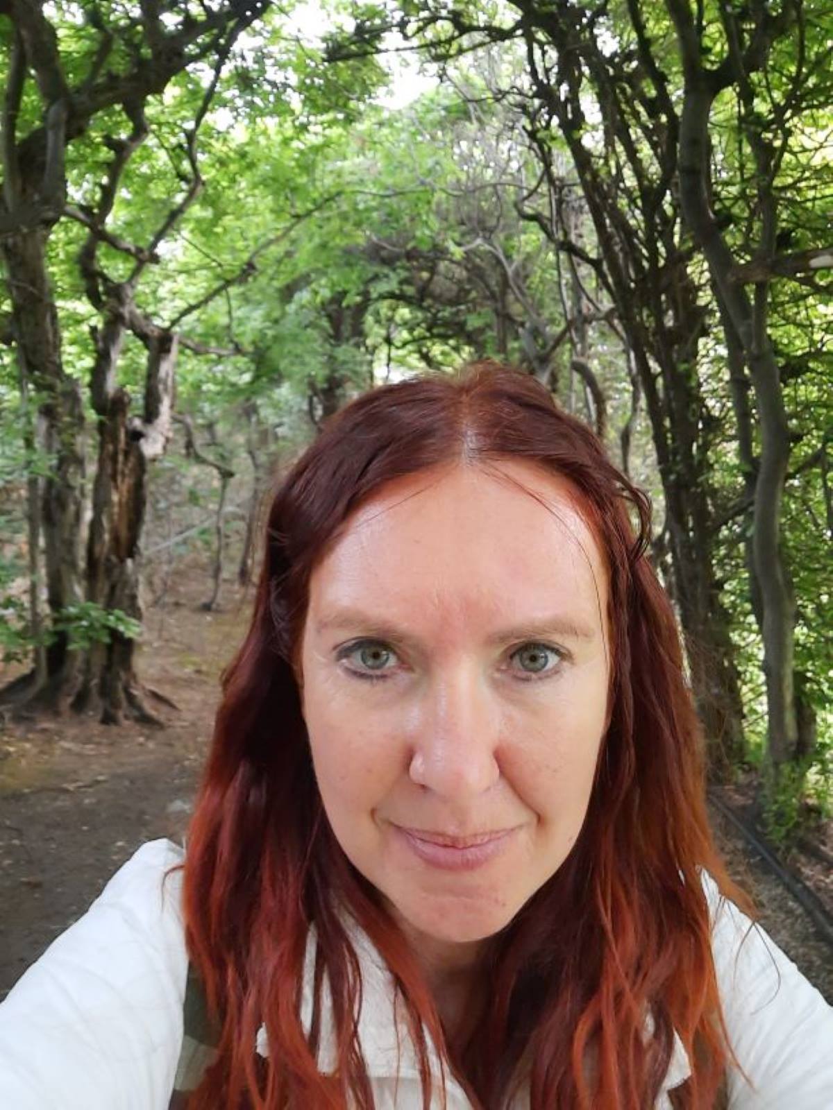 ������� ���������