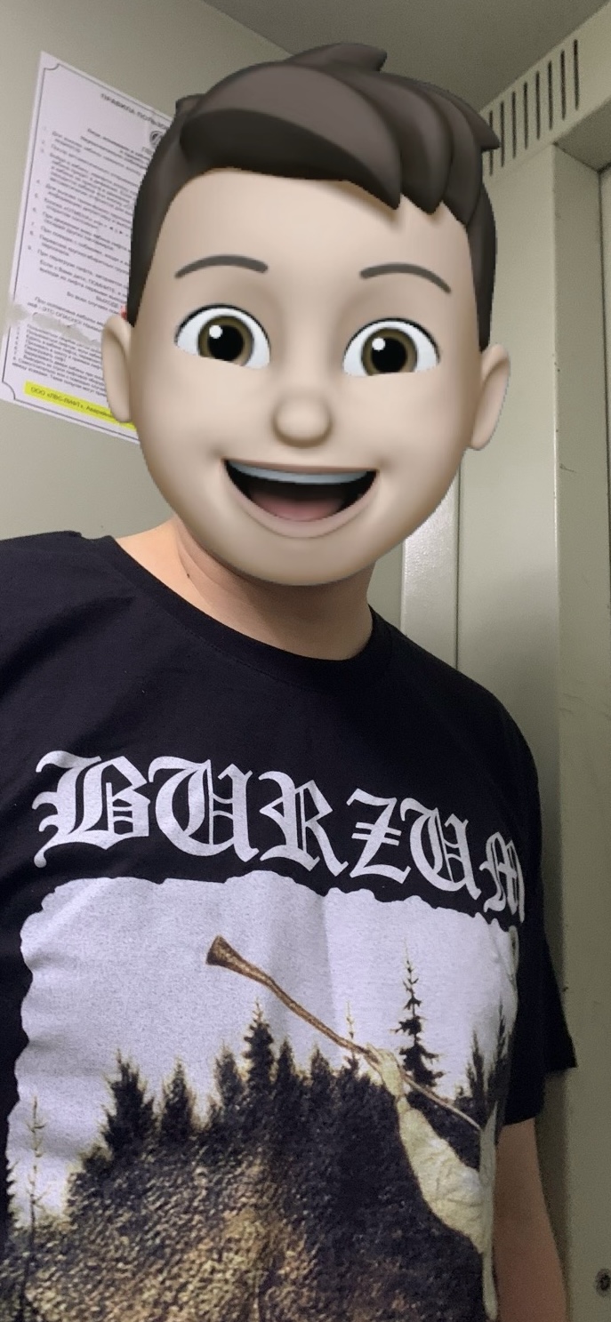 ���������� ׸����