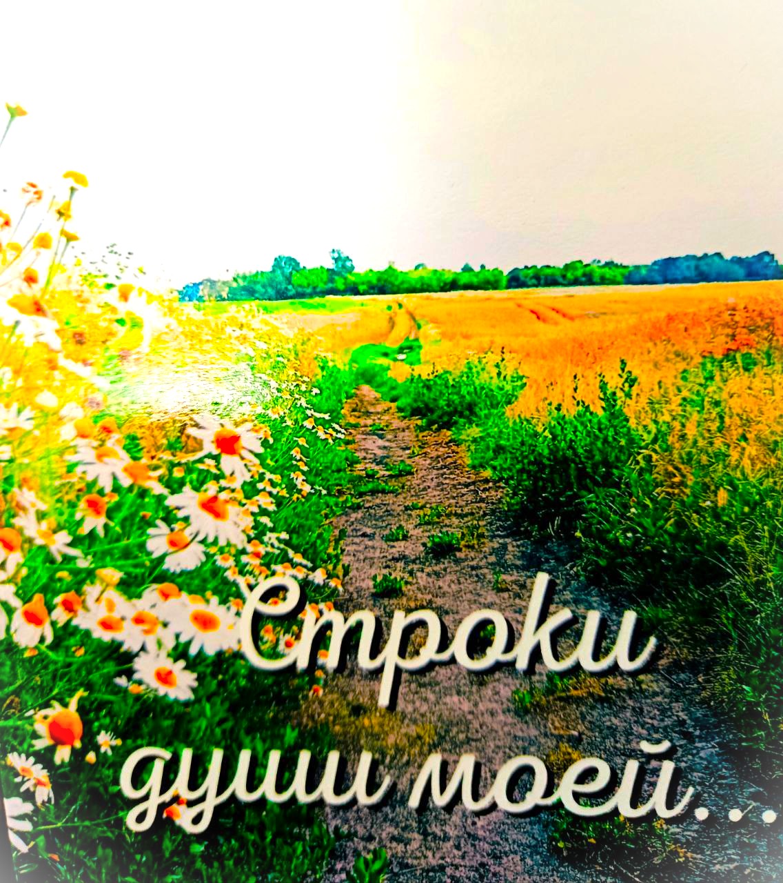 ������� ����������