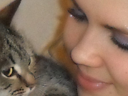 ���� �����