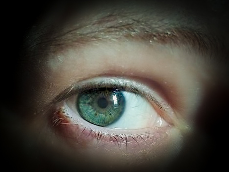 ���������� ��������