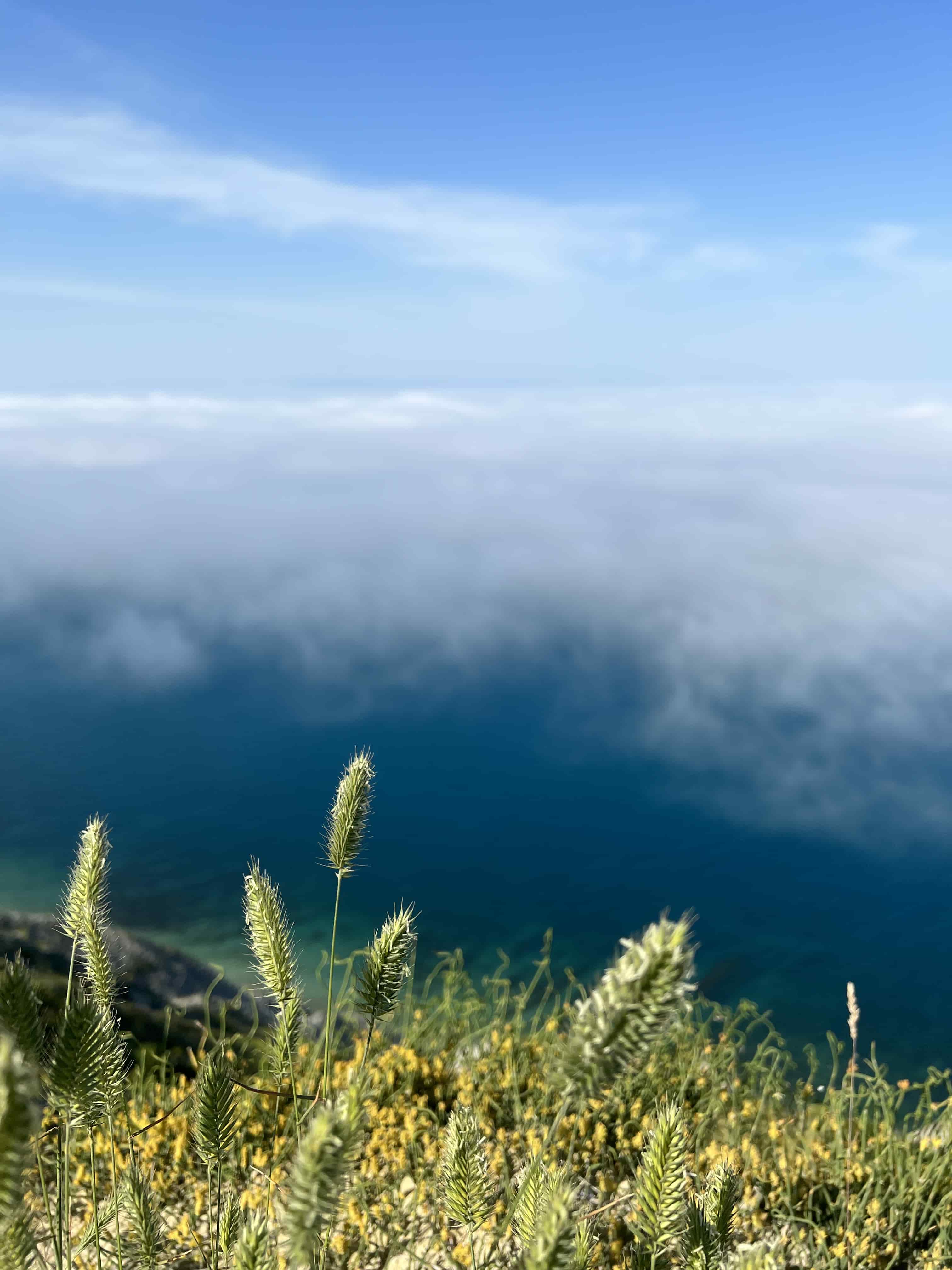 �������� �����