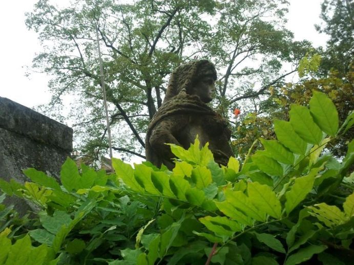 ������ ���