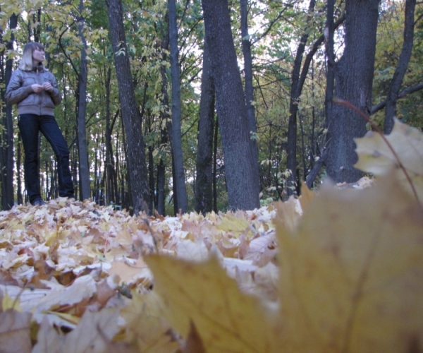 �������� ����