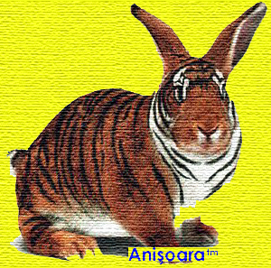 Anisoara