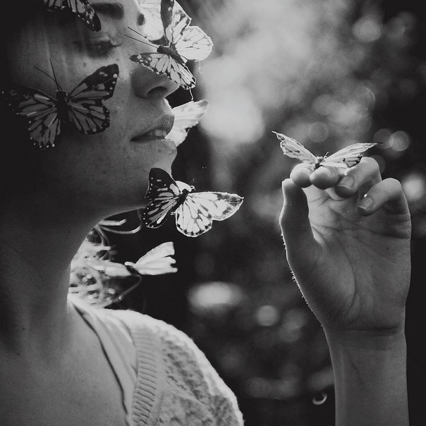 ���� �����������