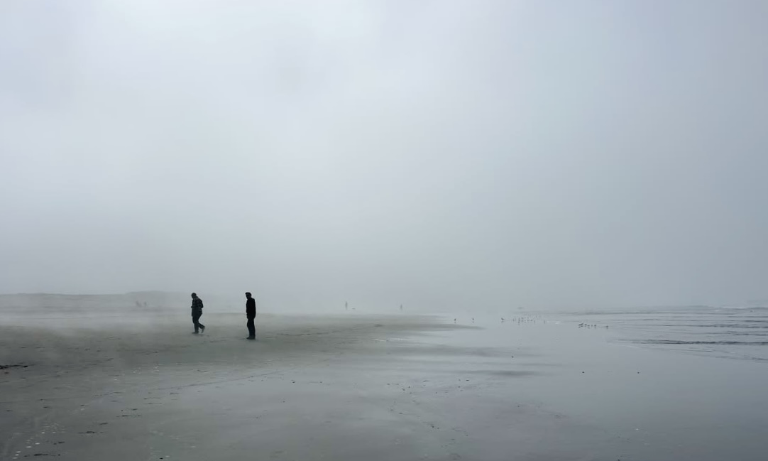 �������� ���� �������