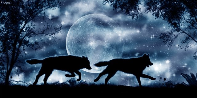 �������� �����