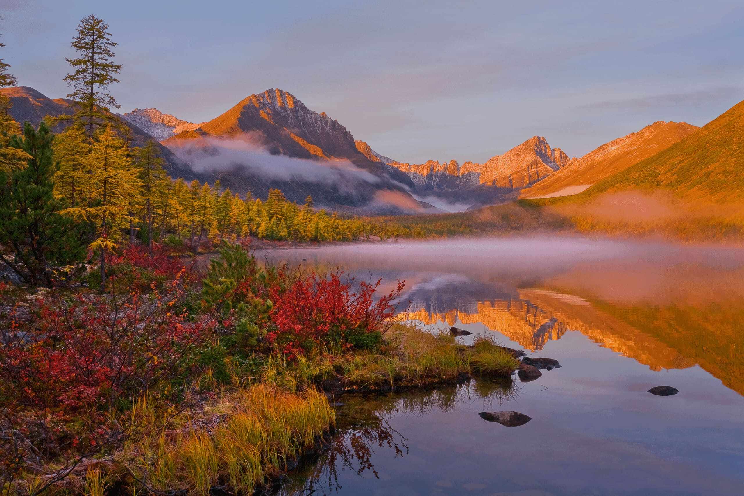 ��������� �������