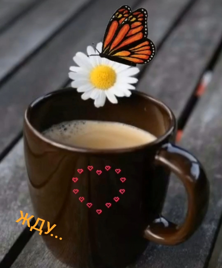 ���� �������