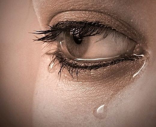 ����� ���������