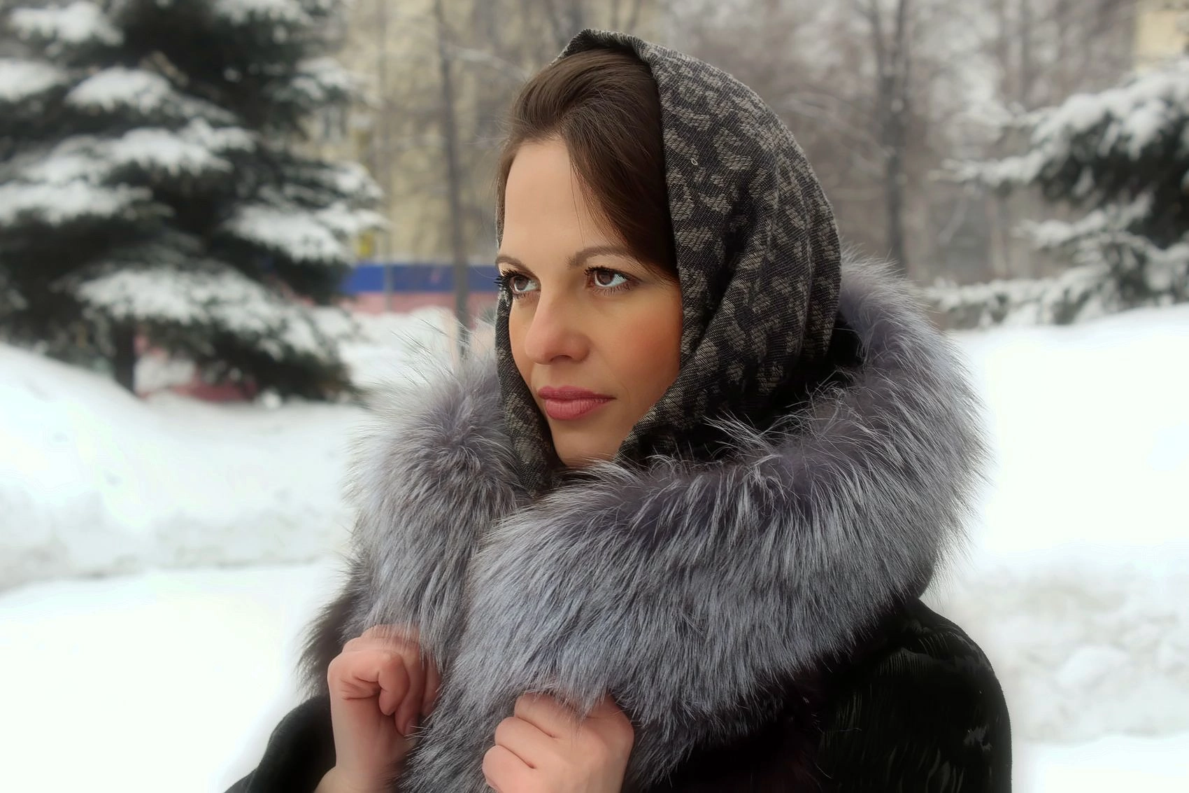 ����� �������� ��������