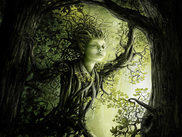 ����� -�����