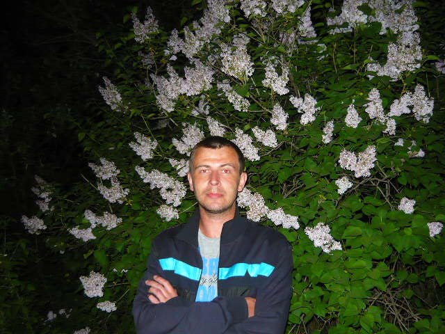 ���� ������