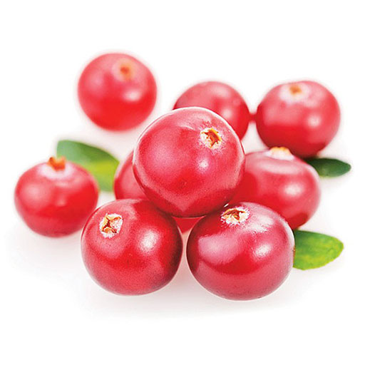 Ягода Брусникина