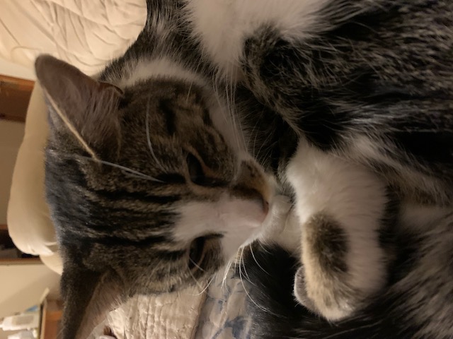 Витя Обрывкин