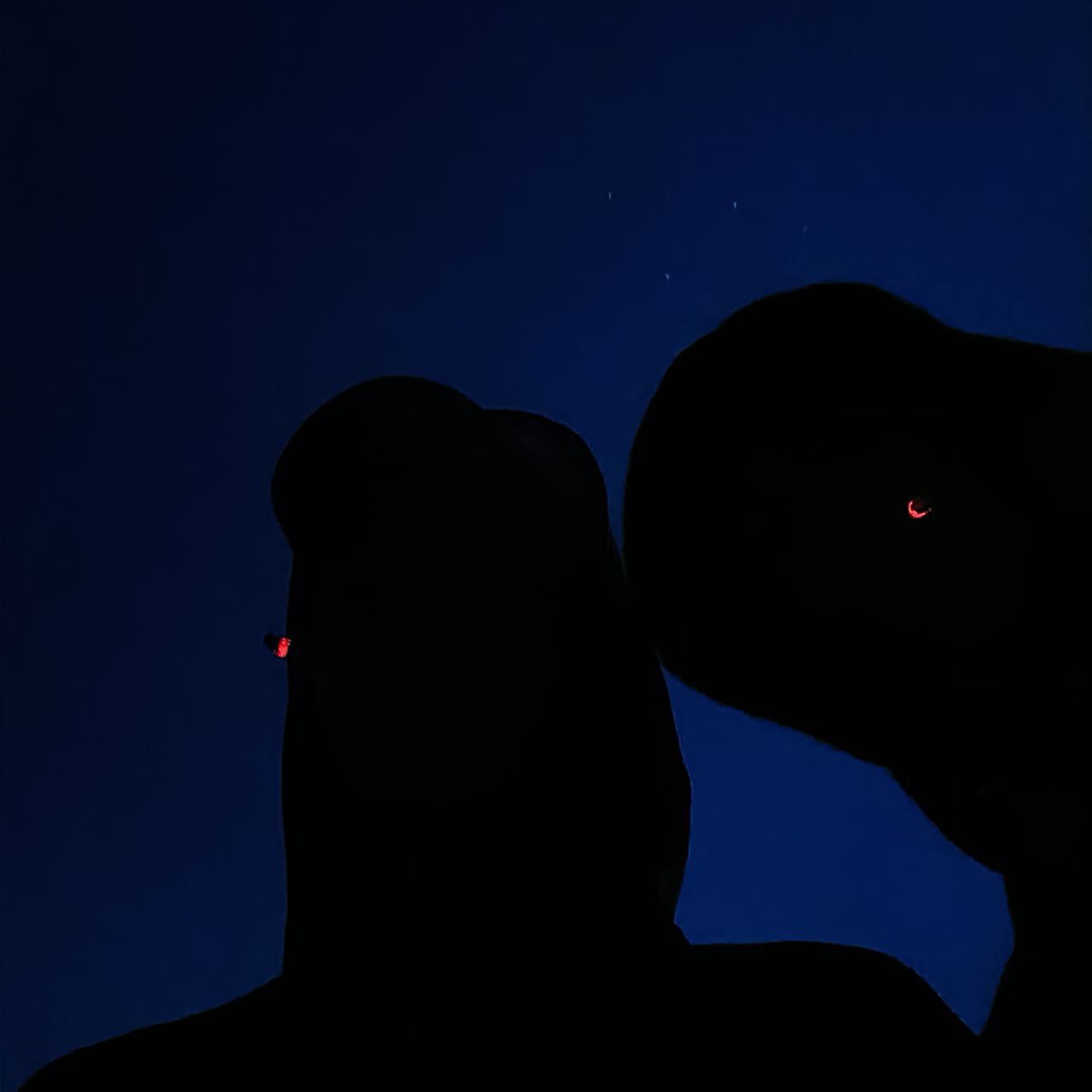 ������ ��������