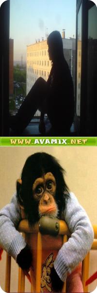 ���� ���������